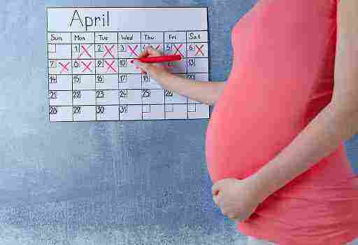 calcular edad gestacional fecha probable parto